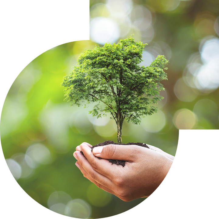 关怀人类、文化、环境与社会